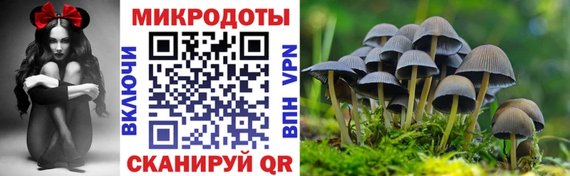 как найти   Новосиль  Галлюциногенные грибы мухоморы 
